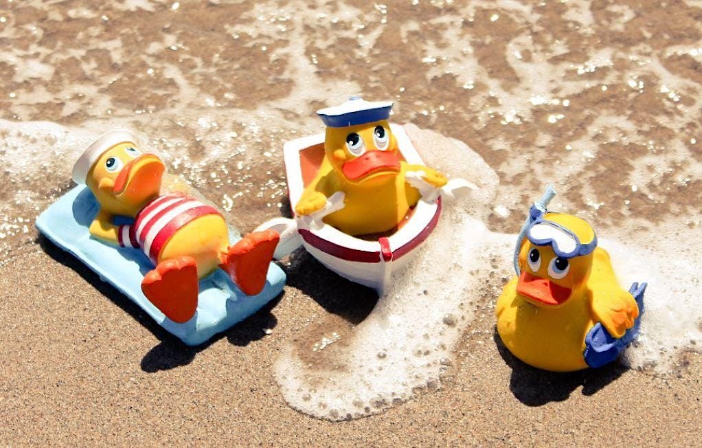 Summer duck madness Kingsbury Water Park Kingsbury Water Park