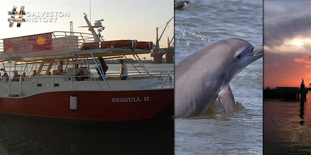 Galveston Historic Harbor Tour and Dolphin Watch