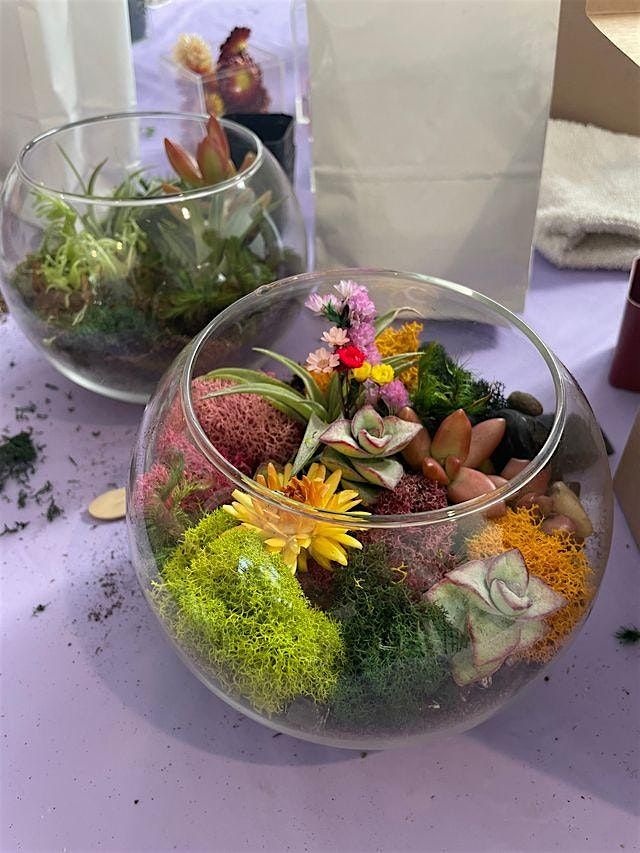 Create Your Own Succulent Sanctuary: Classic Open Terrarium Workshop
