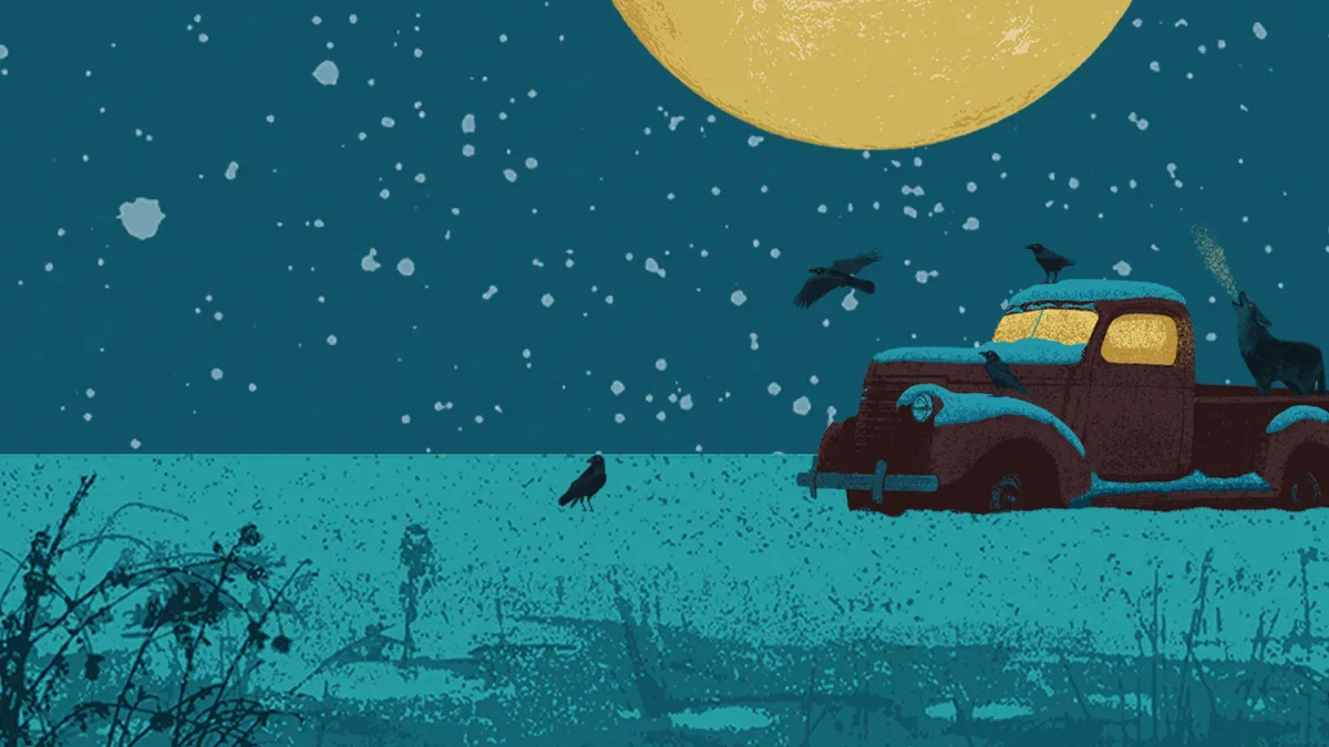 Driftwood in South Burlington