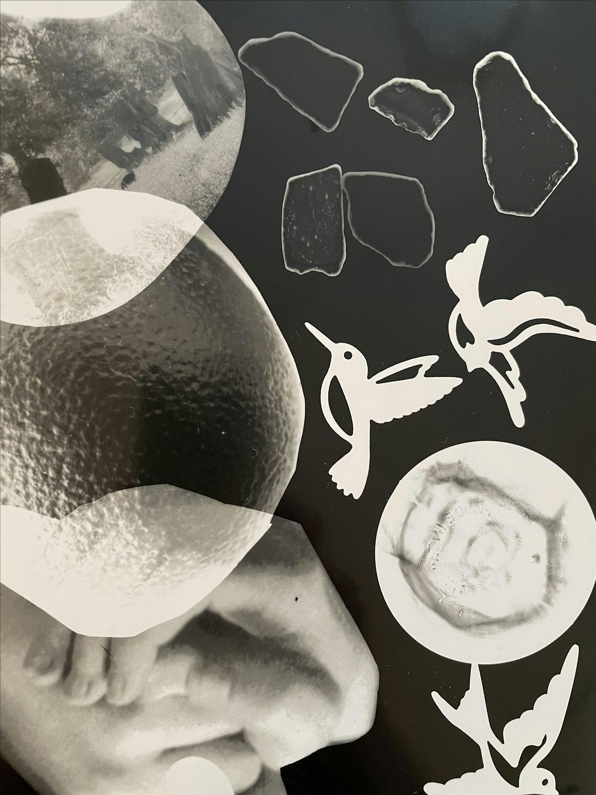 Photogram Workshop