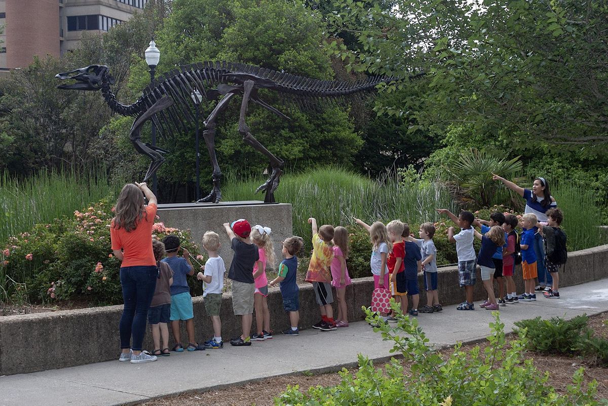 McClung Museum Summer Camps 2023