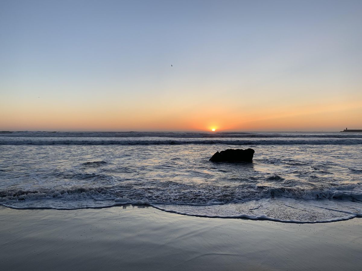 Sunset Nature Bath in the Parque da Cidade & Beach Porto Parque da