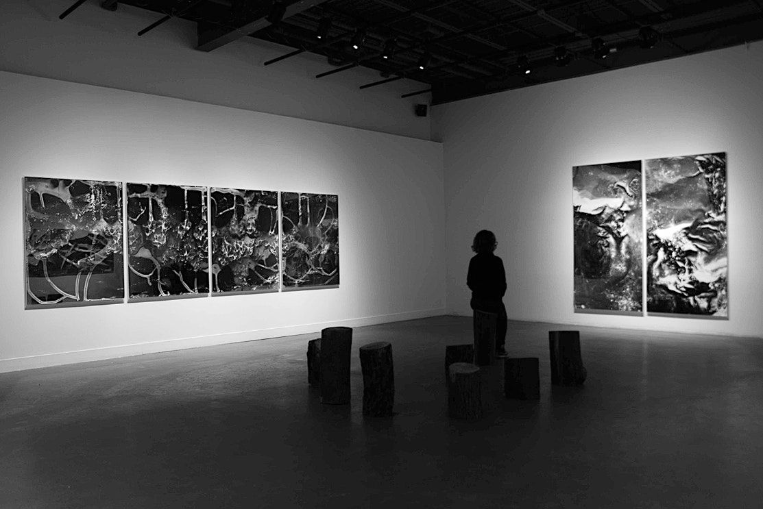 Photograms and Photographs 2020-1970: Michael Flomen at Tuck Shop ...