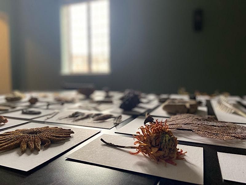 Open Studio\/Cast Lab