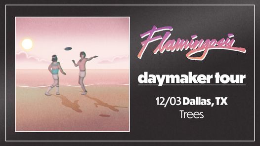 Flamingosis Daymaker Tour 2021 - Dallas