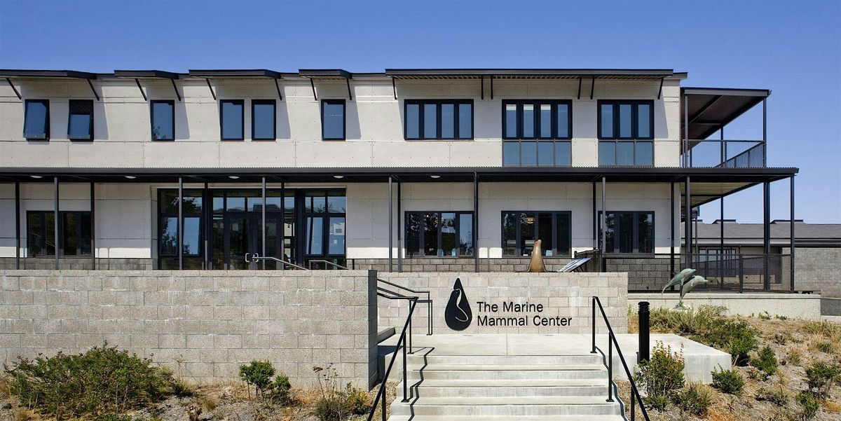 Visit The Marine Mammal Center