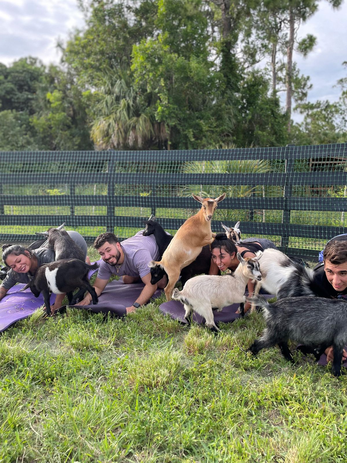 Goat Yoga with Baby Goats, Farm Tour, Music & Fun at a 10-acre Ranch
