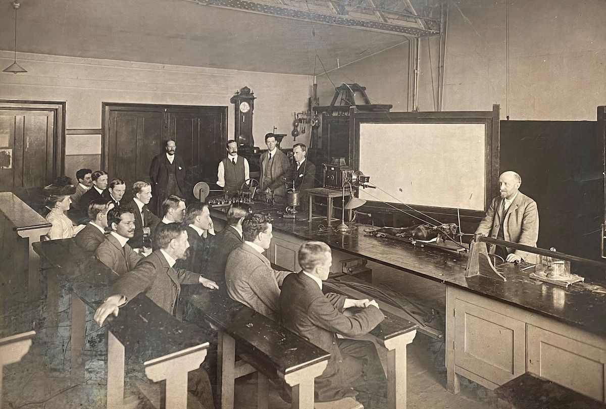 The shambles of science: early physiology teaching at UCL | Object ...