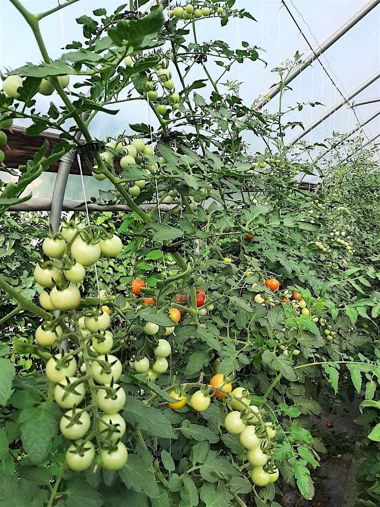 Feeding Your Garden; Using Fertilizers and Amendments