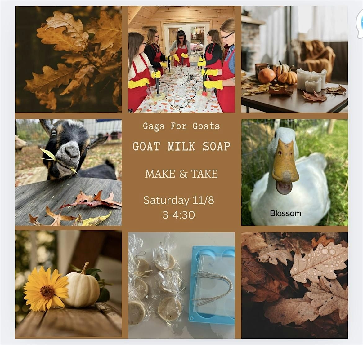 Goat Milk Soap Make and Take