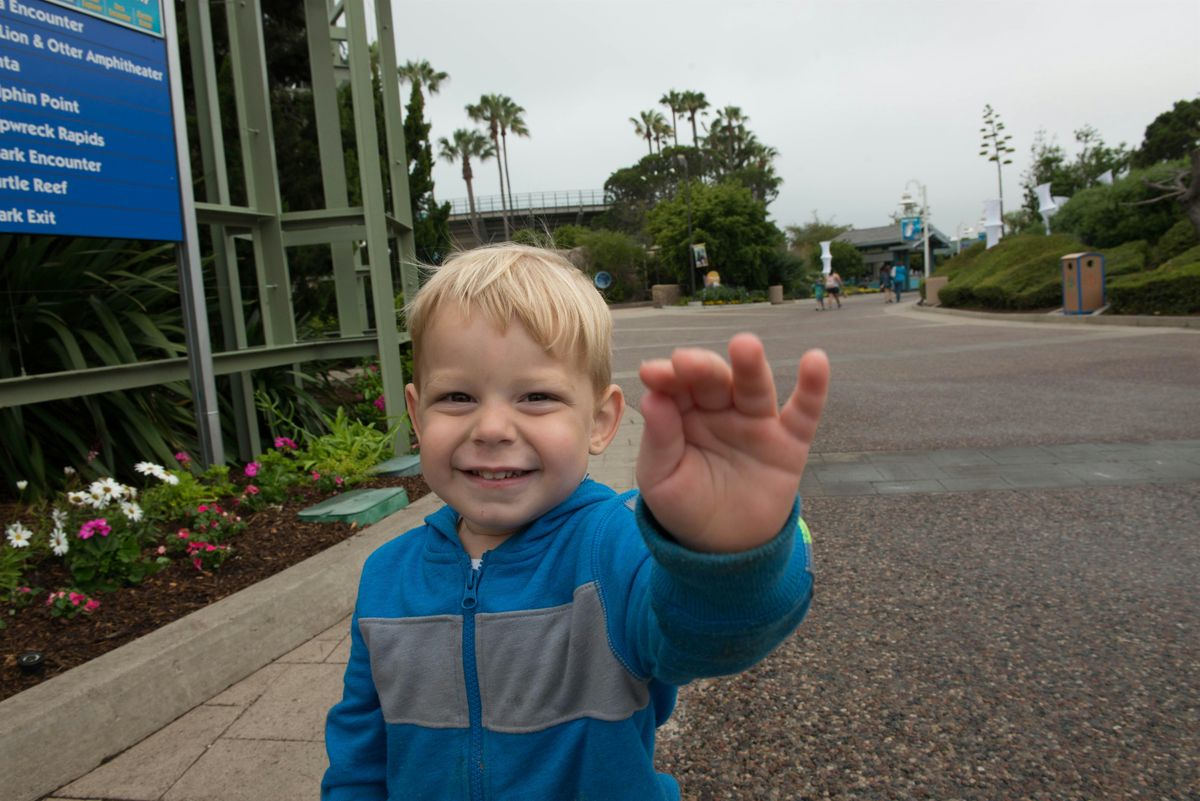 Winter 'Drinking for Daniel' Fundraiser and Visual Delights!