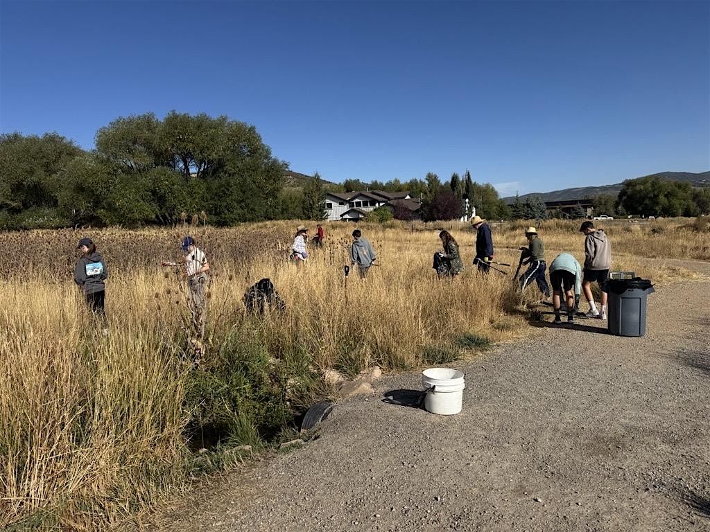 Thriving Land Thursdays: W**d Wrangling on the 910 Ranch