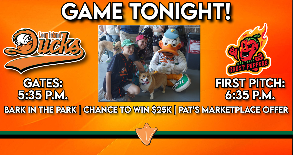 Long Island Ducks at Gastonia Ghost Peppers