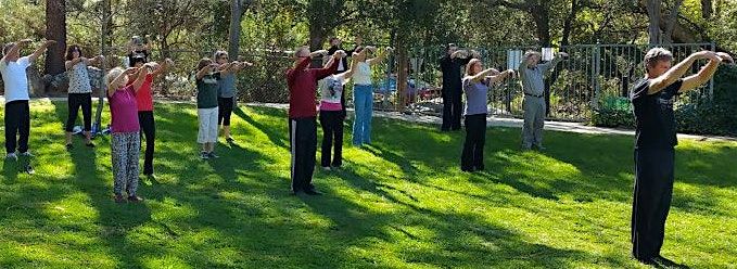 Tai Chi Qigong