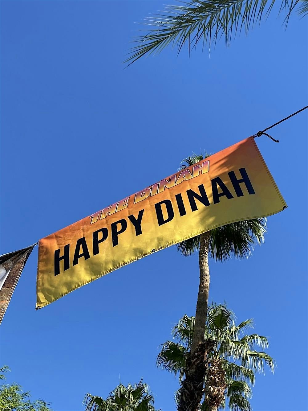 THE DINAH 2026 FESTIVAL PASSES ON SALE NOW AT OUR BEST PRICE!