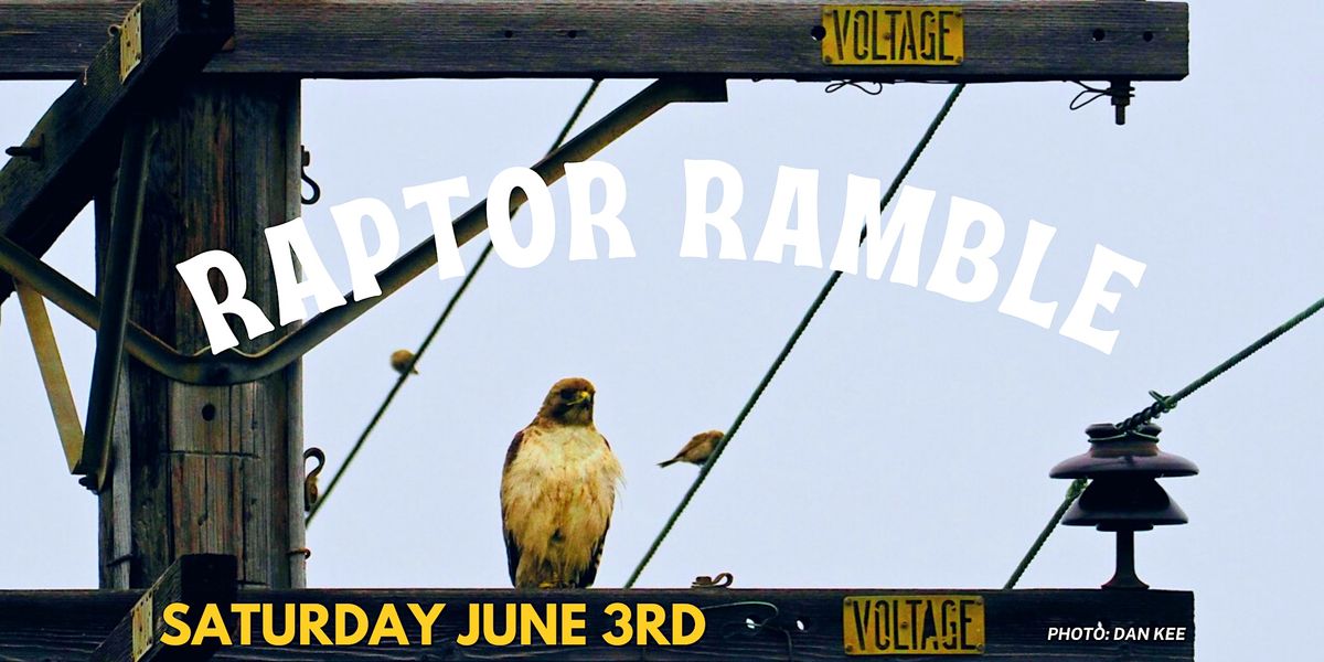 Los Cerritos Wetlands Nature Walk : Raptor Ramble at Los Cerritos ...