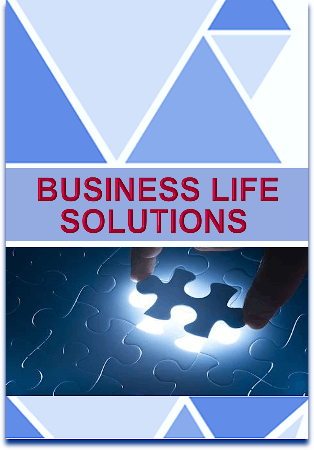 Business Life Solutions with T-Robb (Bellevue)