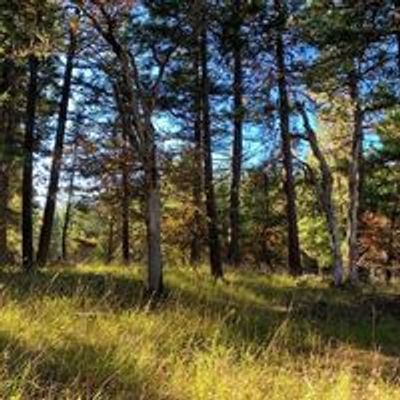 The Forest Conservation Burial Ground of Southern Oregon