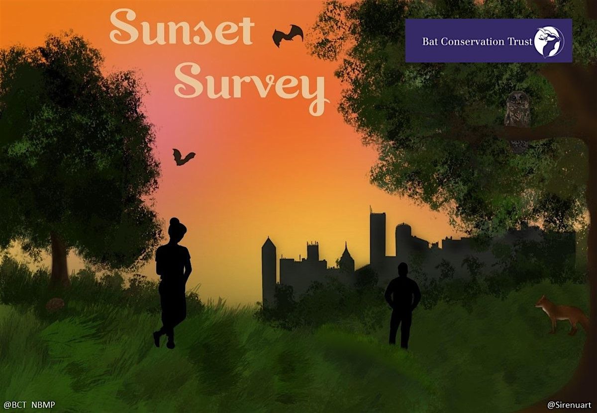 Wildlife at Dusk: An Evening at Willesden Jewish Cemetery
