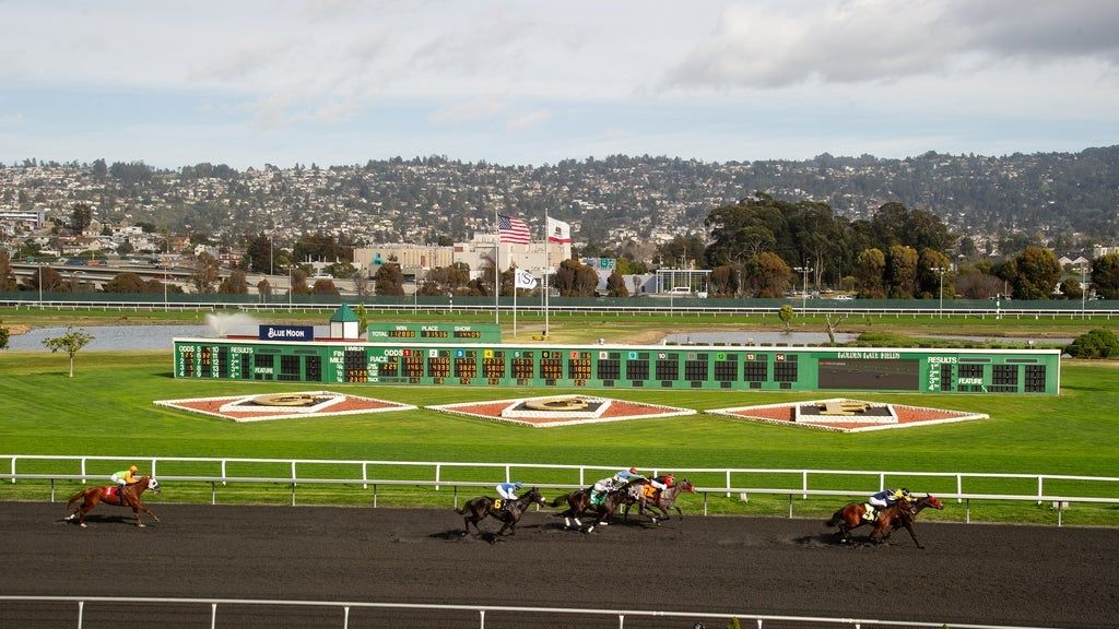 Golden Gate Fields Live Horse Racing Tickets Golden Gate Fields golden-gate-fields-live-horse-racing-tickets-golden-gate-fields
