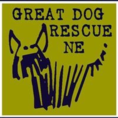 Great Dog Rescue New England