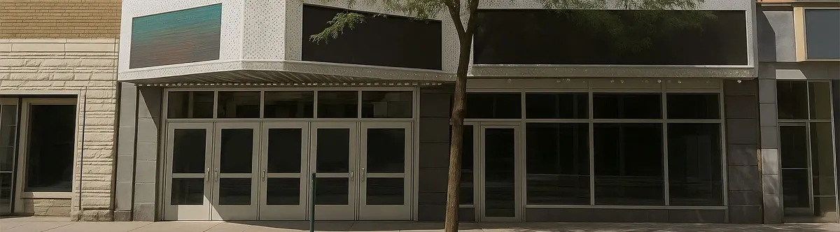 Ligue Nationale D'improvisation: Final