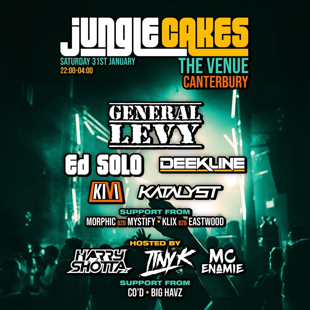 Jungle Cakes - Canterbury - The Venue