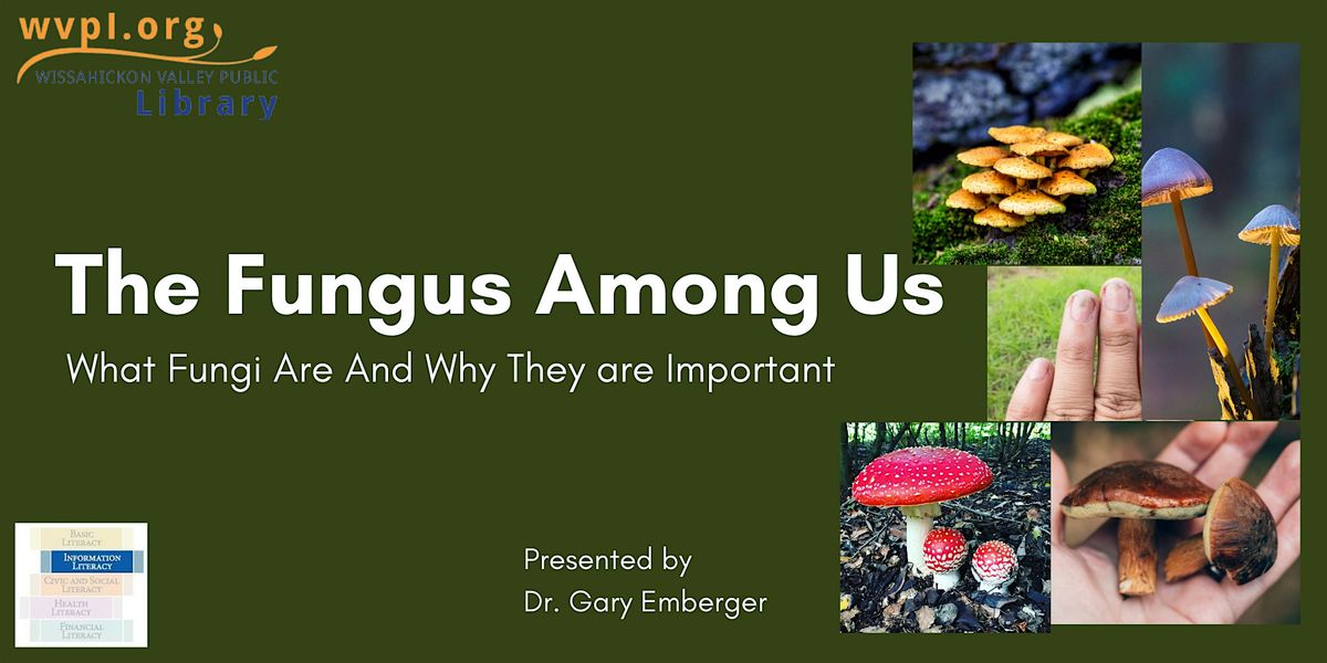 The Fungus Among Us: What Fungi Are And Why They Are Important ...