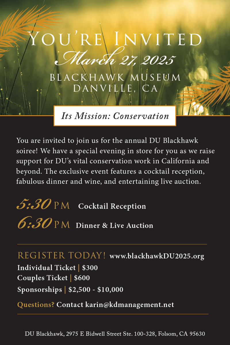 BlackHawk at Longhorn Ballroom
