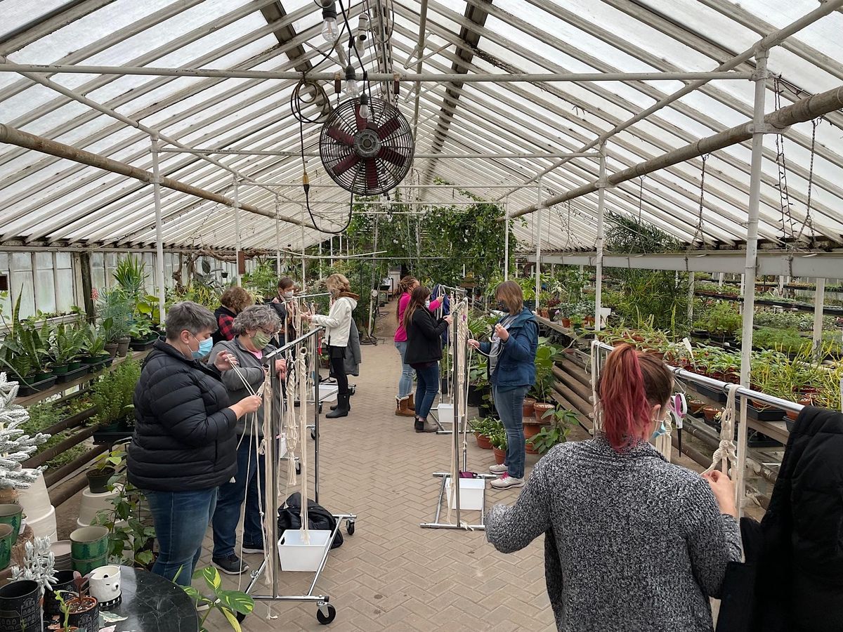 Macrame Plant Hanger at The Flower Market The Flower Market, Monroe