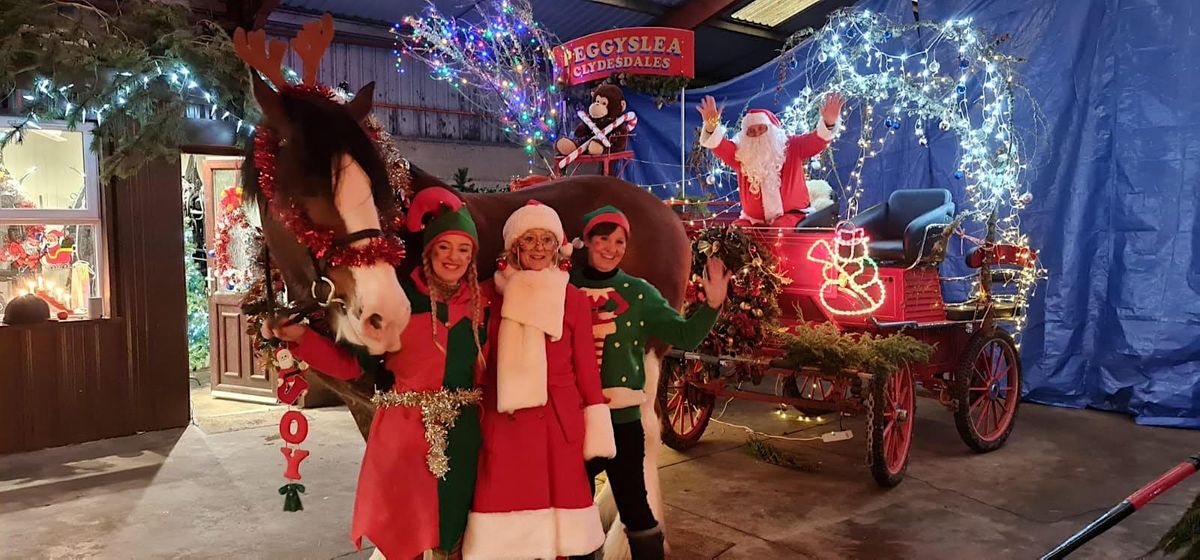 Come and meet Santa and Rudolph the red nosed Clydesdale at Peggyslea ...