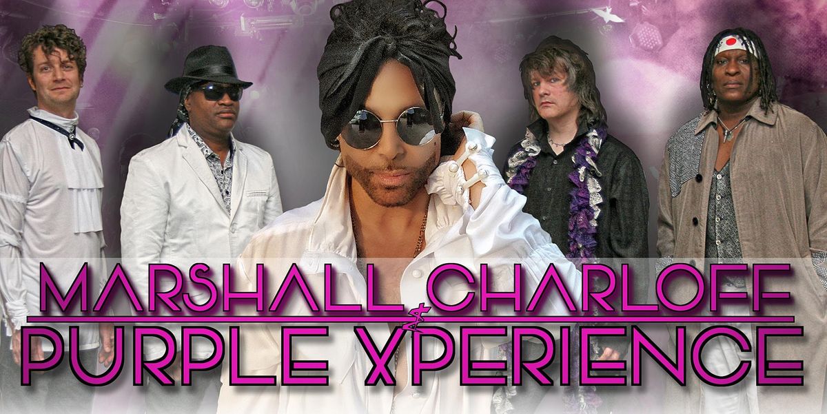 Purple Xperience Prince Anniversary 1 Touring Tribute Cactus purple-xperience-prince-anniversary-1-touring-tribute-cactus