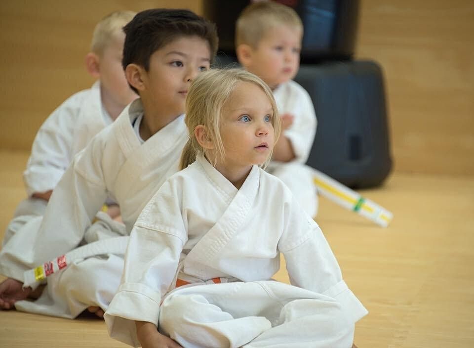 Free PreSchool Karate Class Motor Skill, Behavior, and Social