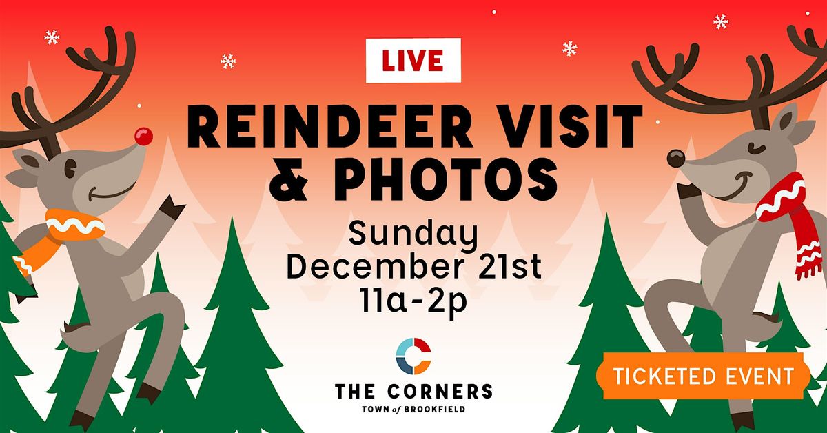 Reindeer Visit & Photo at The Corners of Brookfield