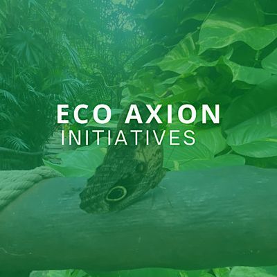 Eco Axion Initiatives