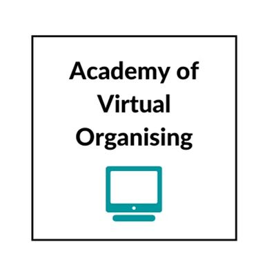 Academy of Virtual Organising