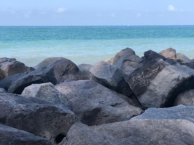 Guided Meditation and Book Study