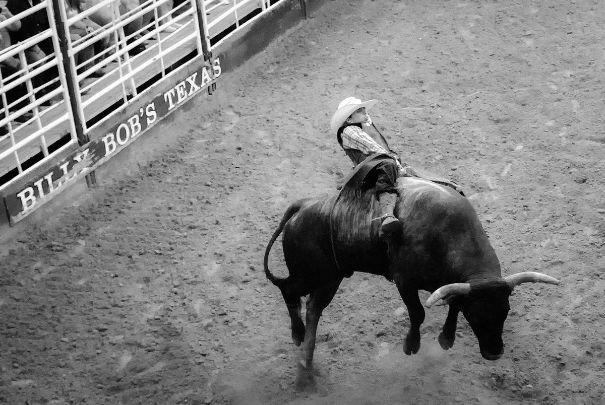 Fort Worth Foto Fest Bull Riding At Billy Bobs Texas BIlly Bob s fort-worth-foto-fest-bull-riding-at-billy-bobs-texas-billy-bob-s