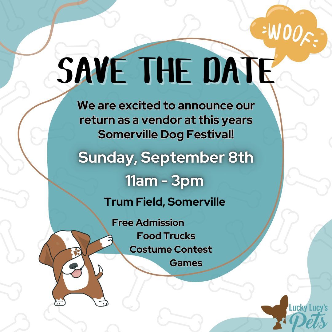 Somerville Dog Festival Trum Field, Somerville, MA September 8, 2024