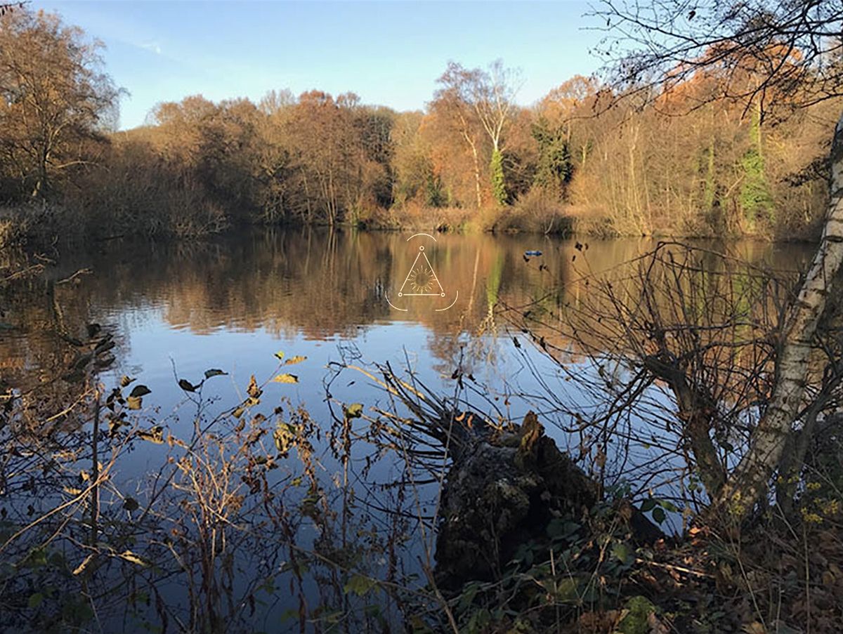 Hampstead Heath Xmas Hike (& pub afterwards if you fancy it)