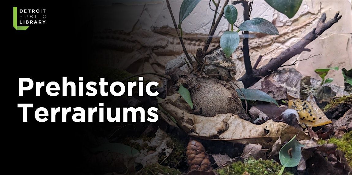 Prehistoric Terrariums for Adults