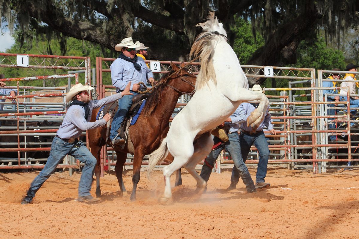 2023 Polk Trade Show and Ranch Rodeo Supporter Opportunities Bartow
