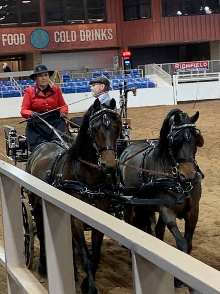 Carousel Charity Horse Show