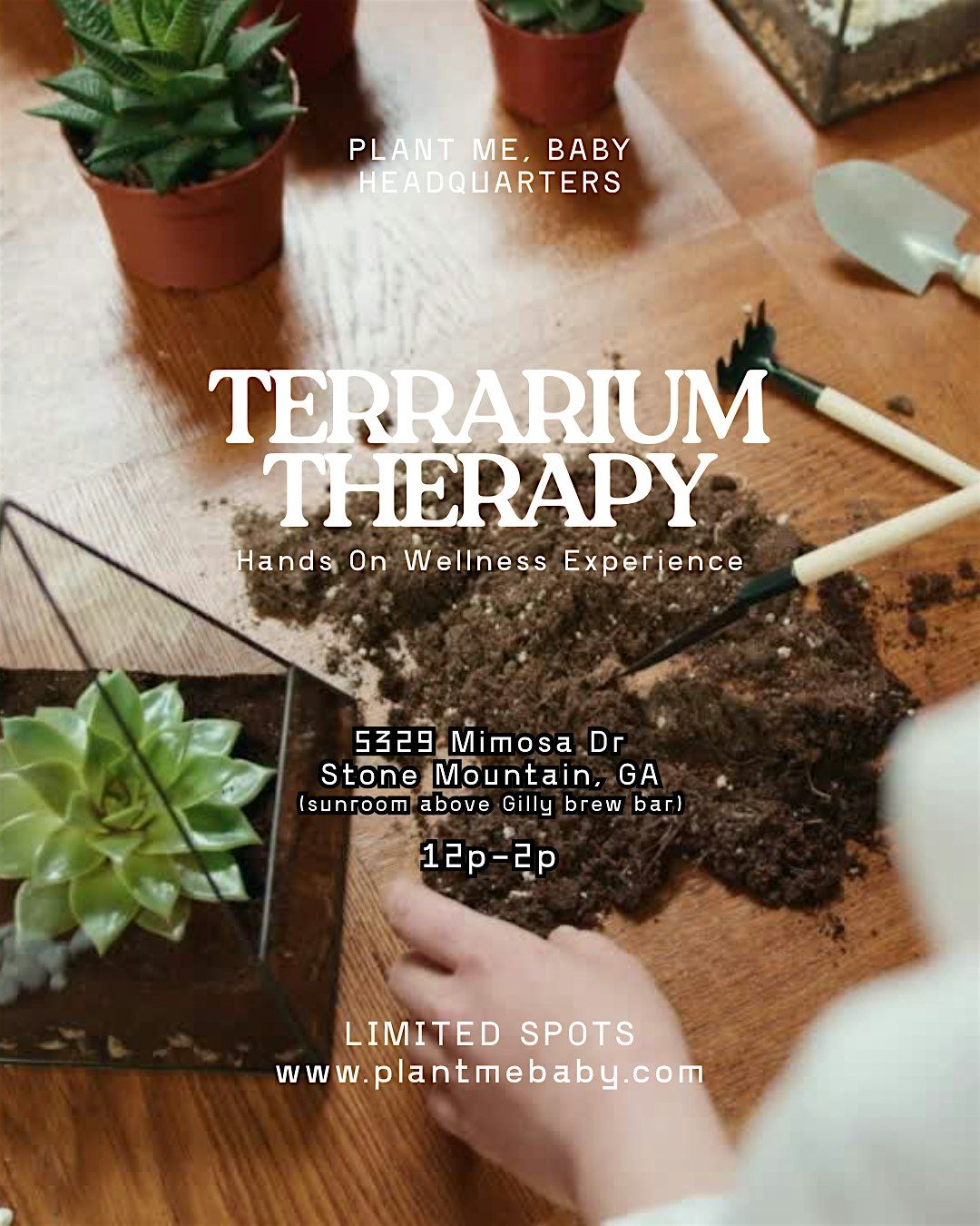 Terrarium Therapy: A Luxury Plant + Wellness Experience