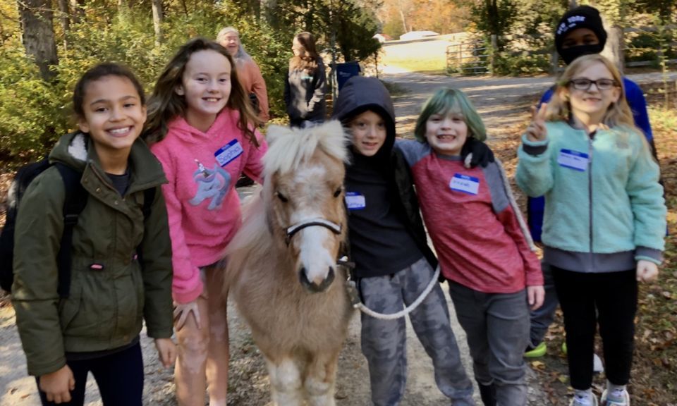 Farm Club - Ages 5 to 11