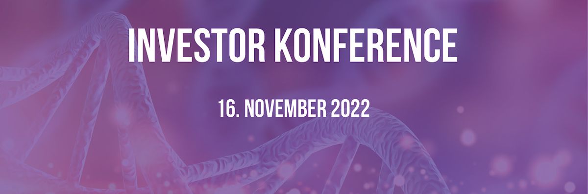 Investor Konference den 16. november