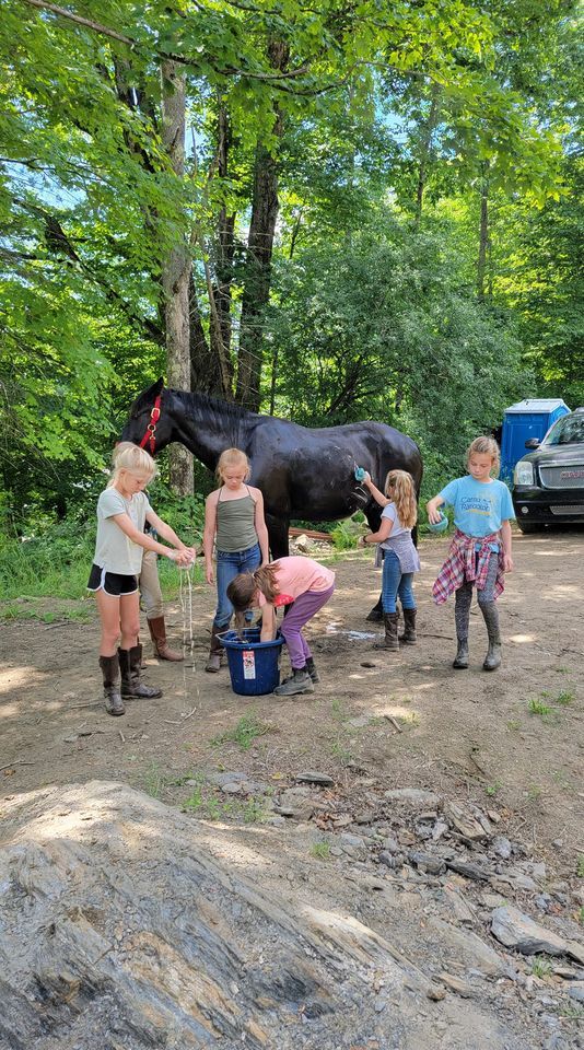 Summer Day Horse Camp