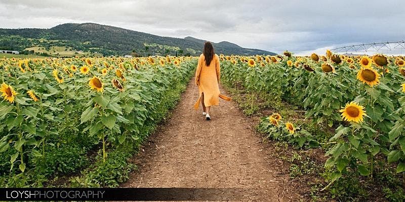 Kalbar Sunflower Farm Visit