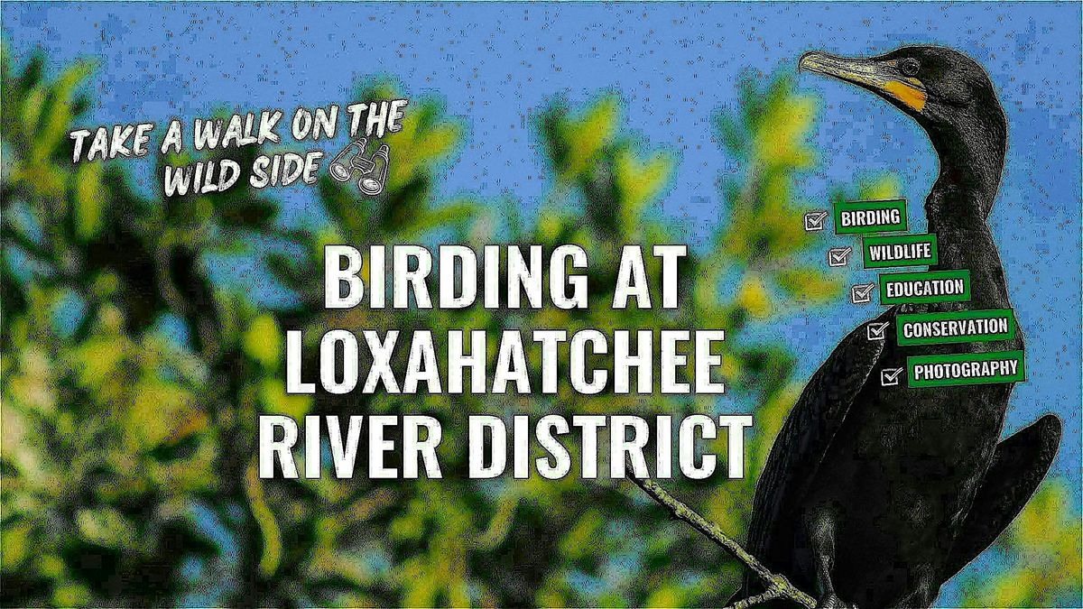 Birding at the Loxahatchee River District with the River Center